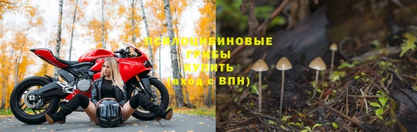 а пвп мука Арсеньев